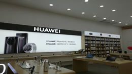 忘记会员账号该怎么办？