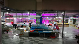 海南三亚海口获准邮轮港开展中资方便旗邮轮无目的地航线试点