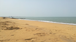 媒塔CMS原创富文本编辑器 - 专业内容创作解决方案