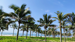 如果退稿了钱会返回我的余额账户吗?