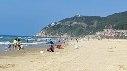 媒塔CMS原创富文本编辑器 - 专业内容创作解决方案