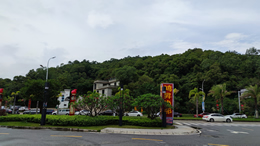 媒塔CMS原创富文本编辑器 - 专业内容创作解决方案