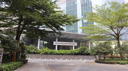 媒塔CMS原创富文本编辑器 - 专业内容创作解决方案