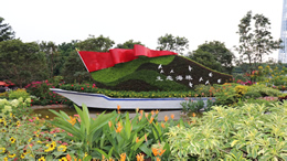 关于新个人所得税法相关注意事项公告