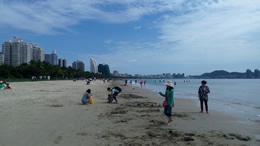 黄日华爱妻梁洁华6日13日于红?世界殡仪设灵