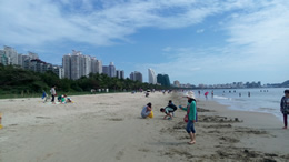 四川都市网科技