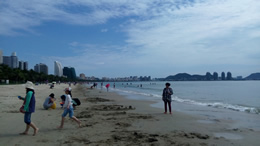 关于软文发布后的有效期时间说明