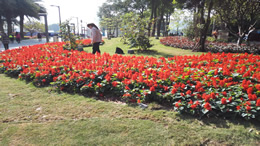 媒塔CMS原创富文本编辑器 - 专业内容创作解决方案