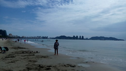 媒塔CMS原创富文本编辑器 - 专业内容创作解决方案