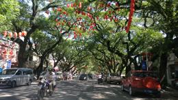 媒塔CMS原创富文本编辑器 - 专业内容创作解决方案